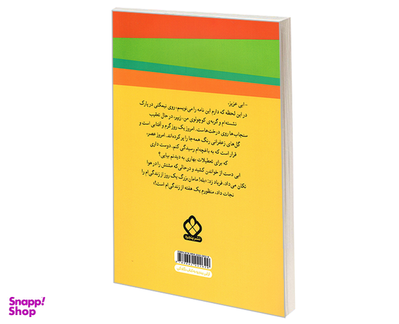 کتاب ماجراهای ابی هایز؛ ابی آشتی می کند اثر آن مازر نشر پنجره