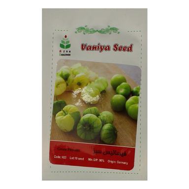 بذر فیسالیس سبز آذر سبزینه مدل A2