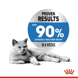 غذای خشک گربه رویال کنین مدل Light Weight Care وزن 3000 گرم