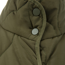 کاپشن زنانه سرژه مدل 219122 رنگ یشمی