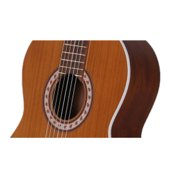گیتار طرح پارسی مدل M5