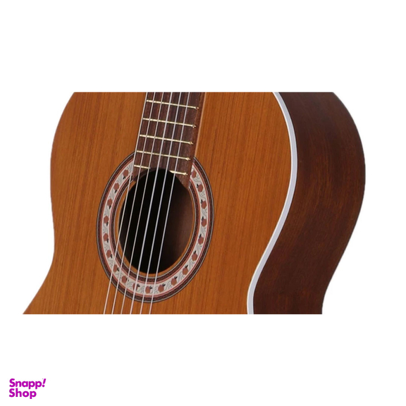 گیتار طرح پارسی مدل M5