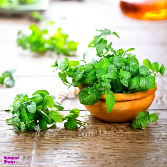 عرق نعنا ارگانیک ژیک حجم 1 لیتر
