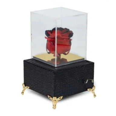 رز جاودان مدل موزیکال کد g-rj-rah-777-14