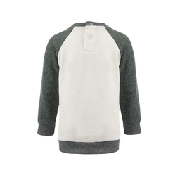 ست سویشرت و شلوار پسرانه فیورلا مدل دایناسور و اسکیت برد 24549