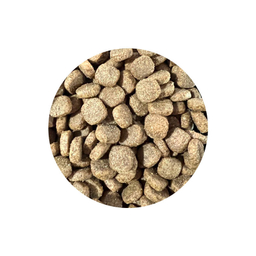 غذای خشک سگ شهرپت مدل EcoNature Plus Lamb وزن 1 کیلوگرم