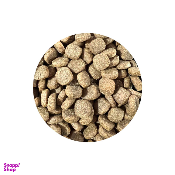 غذای خشک سگ شهرپت مدل EcoNature Plus Lamb وزن 1 کیلوگرم
