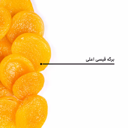 برگه قیسی اعلی بارجیل
