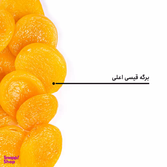 برگه قیسی اعلی بارجیل