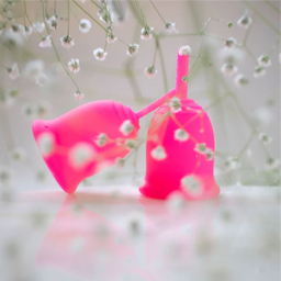 کاپ قاعدگی لیوا فارما مدل 1 سایز کوچک