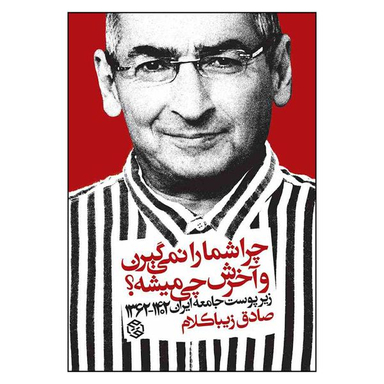 کتاب چرا شما را نمی گیرن و آخرش چی میشه اثر صادق زیبا کلام انتشارات  روزنه