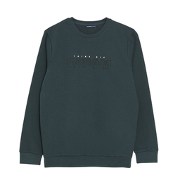 سویشرت مردانه ال سی وایکیکی مدل دریم پلار