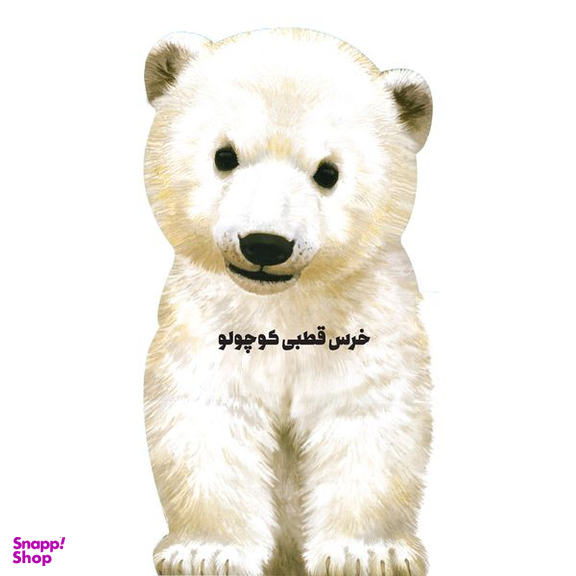 کتاب خرس قطبی  اثر جیووانی کاویتسل انتشارات بین المللی گاج