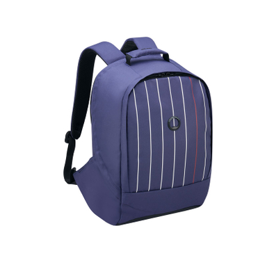 کوله پشتی دلسی مدل SECUR BAN کد 3334603