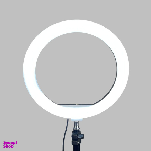 رینگ لایت پی نت مدل Filling Light 10-Inch
