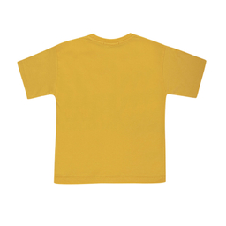 ست تیشرت و شلوارک پسرانه فیورلا مدل surf کد 35034-45043