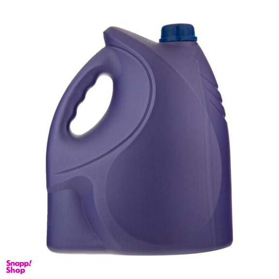مایع ظرفشویی اکتیو مدل Grape and Flower