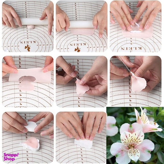 ست کاتر و وینر فوندانت به گز مدل گل آلسترومریا مجموعه 6 عددی