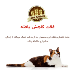 غذای خشک گربه بالغ بوناسیبو مدل مرغ و ماهی وزن 2 کیلوگرم
