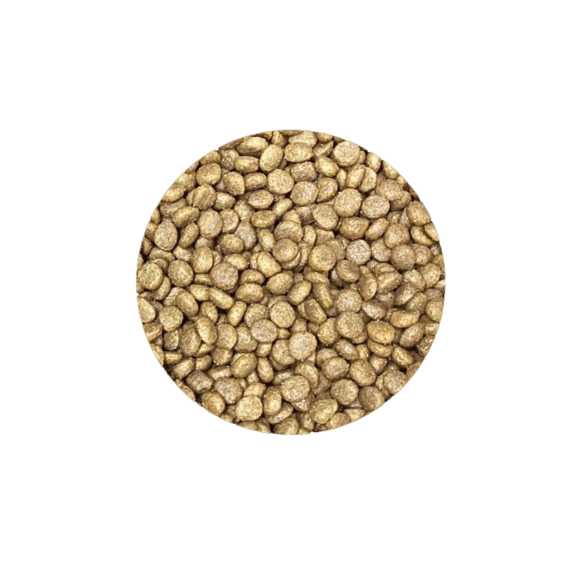 غذای خشک گربه رفلکس پلاس مدل Urinary With Chicken وزن 1.5 کیلوگرم