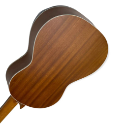 گیتار پارسی مدل P40