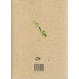 کتاب بار دیگر شهری که دوست می داشتم اثر نادر ابراهیمی نشر روزبهان