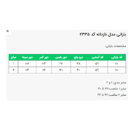 بارانی زنانه السانا مدل نازدانه کد 233512