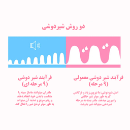 شیردوش برقی رکسون مدل 042