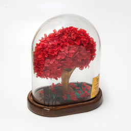 باکس درختچه گل هورتانزیا جاودان مدل آدونیس رز رنگ قرمز