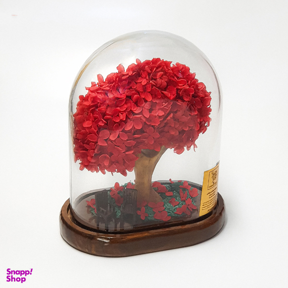 باکس درختچه گل هورتانزیا جاودان مدل آدونیس رز رنگ قرمز