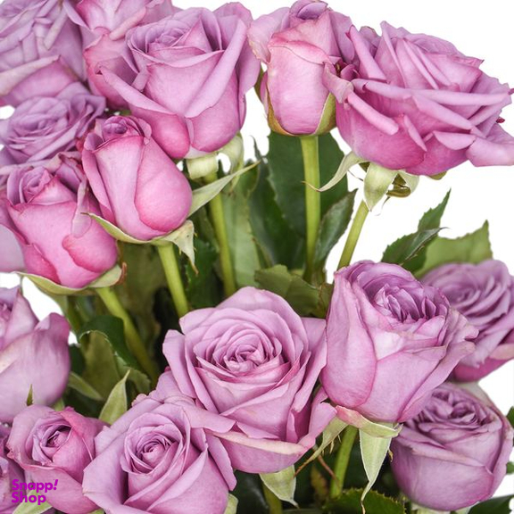 دسته گل رز هلندی یاسی هیمان کد Ro06