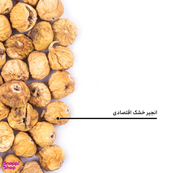 انجیر خشک اقتصادی بارجیل