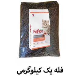 غذا خشک فله گربه مدل رفلکس Kitten