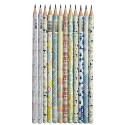 مداد مشکی پیکاسو مدل تالی مجموعه 12 عددی