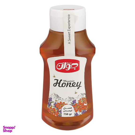 عسل کوهستان جوان وزن 750 گرم