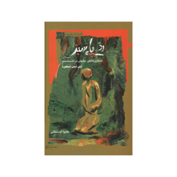 کتاب ردپای سبز اثر حمیرا ارسنجانی انتشارات نگاه معاصر