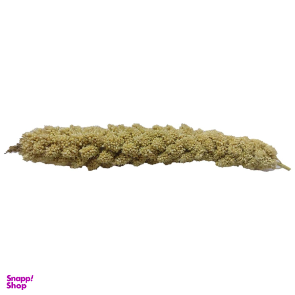 غذا تشویقی پرنده مدل ارزن خوشه ای مناسب طوطی بسته 5 عددی