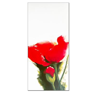 کارت پستال مدل گل شقایق کد BOL70 بسته 10 عددی