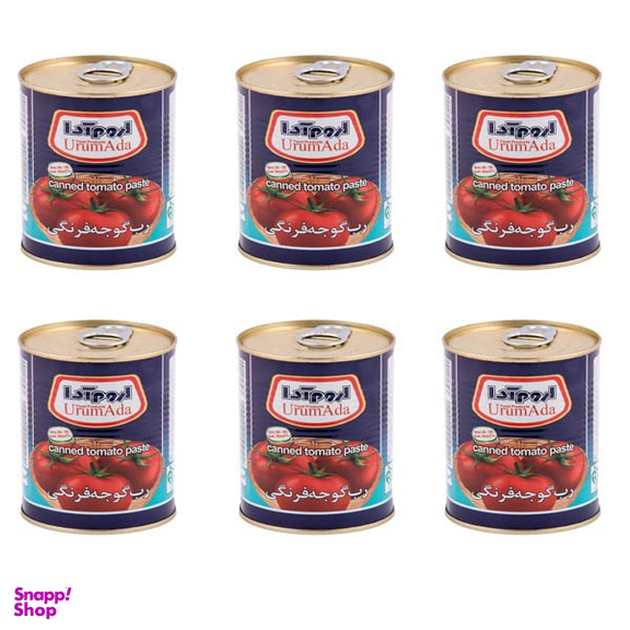 کنسرو رب گوجه فرنگی اروم آدا وزن 800 گرم بسته 6 عددی