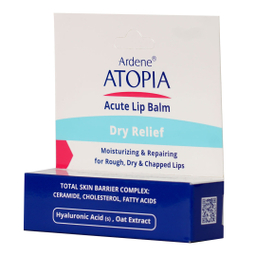 بالم مرطوب کننده و ترمیم کننده لب آردن سری Atopia مدل Dry Relief وزن 4.5 گرم