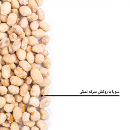 سویا روکش دار سرکه نمکی بارجیل