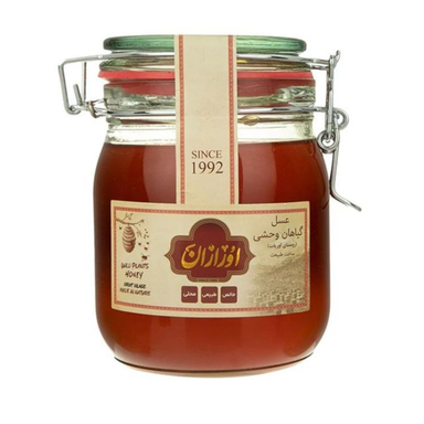 عسل گیاهان وحشی اورازان وزن 960 گرم