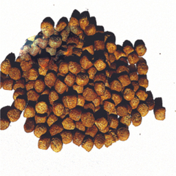 غذای خشک گربه بالغ فیدار پاتیرا مدل Permium1 وزن 1 کیلو گرم