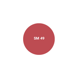 رژ لب جامد اشتون شماره SM49