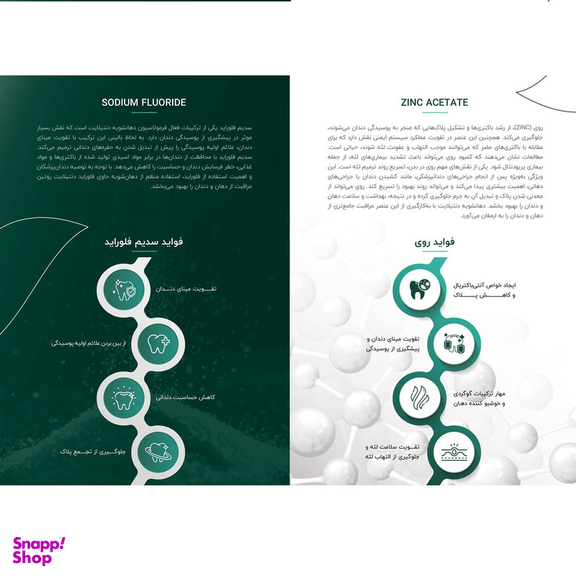 دهان شویه دنتیلایت مدل پست بیوتیک حجم 500 میلی لیتر