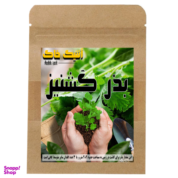 بذر گشنیز اصلاح شده آنتیک خاک مدل GZ