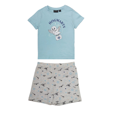 ست تیشرت آستین کوتاه و شلوارک راحتی پسرانه هری پاتر مدل 6330 رنگ آبی