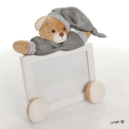 قاب عکس کودک نی نی سیس مدل خرس نانان کد GH-N-Gry/13x18