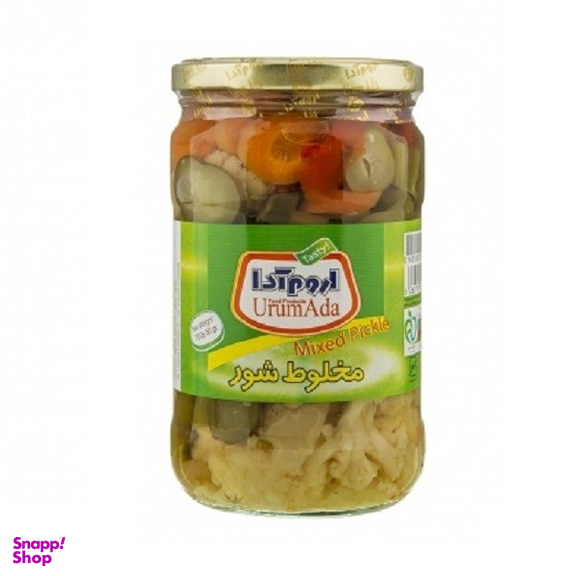 ترشی مخلوط شور اروم آدا وزن 700 گرم