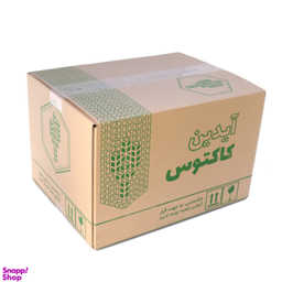 گیاه طبیعی کاکتوس و ساکولنت آیدین کاکتوس کد CB-009 بسته 12 عددی